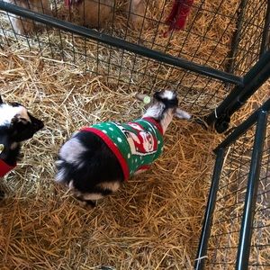 Meet your Posher, Adrienne